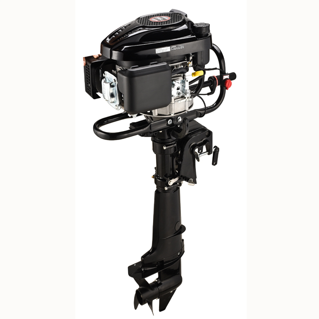 P21-1 TK139FDR 隆鑫带倒挡6.5